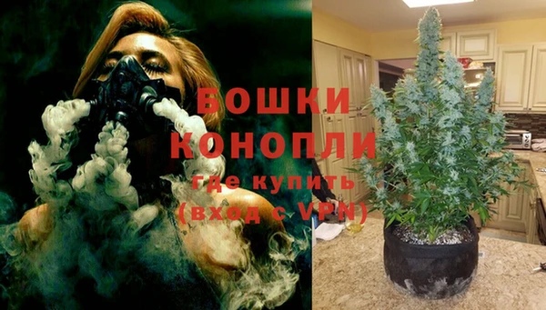 ECSTASY Волосово