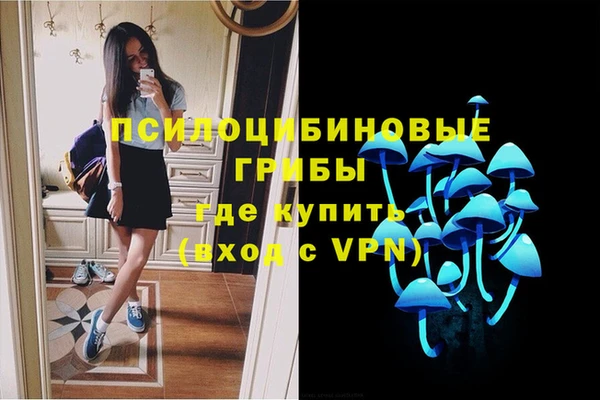 прущая мука Волоколамск