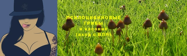 прущая мука Волоколамск
