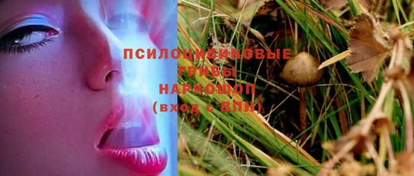 прущая мука Волоколамск