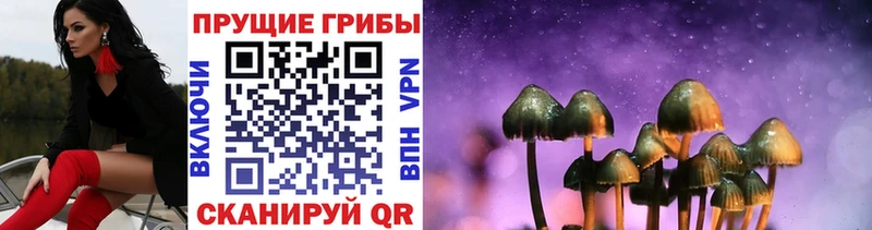 Псилоцибиновые грибы MAGIC MUSHROOMS  МЕГА ссылка  Славянск-на-Кубани 