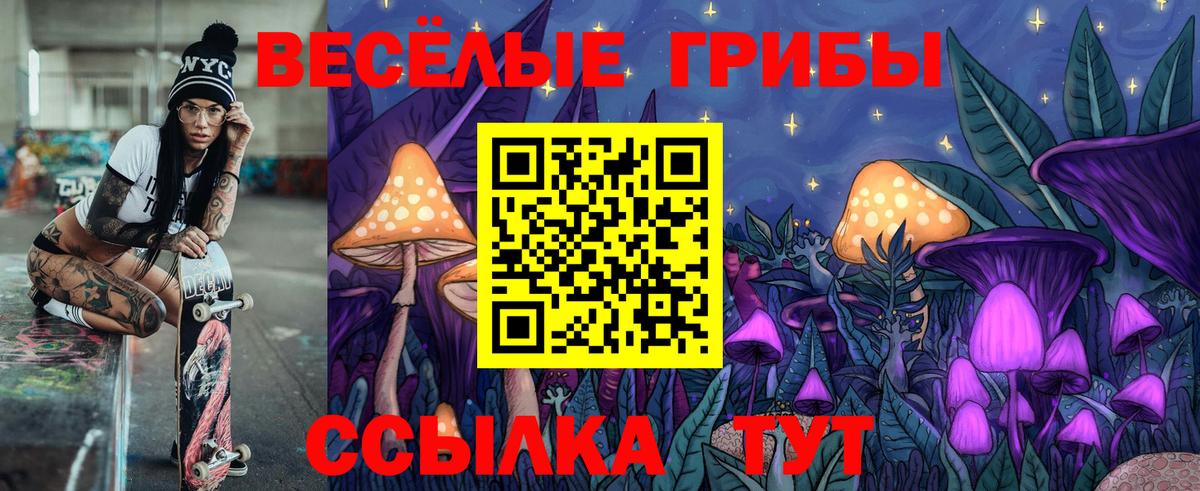 Галлюциногенные грибы GOLDEN TEACHER  Псилоцибиновые грибы прущие грибы  Вход с VPN  Славянск-на-Кубани 